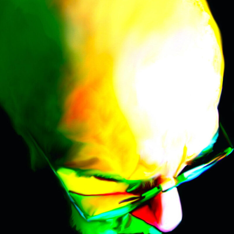 Digitale Malerei 2389